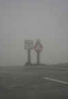 Nebel und Kälte am Albula