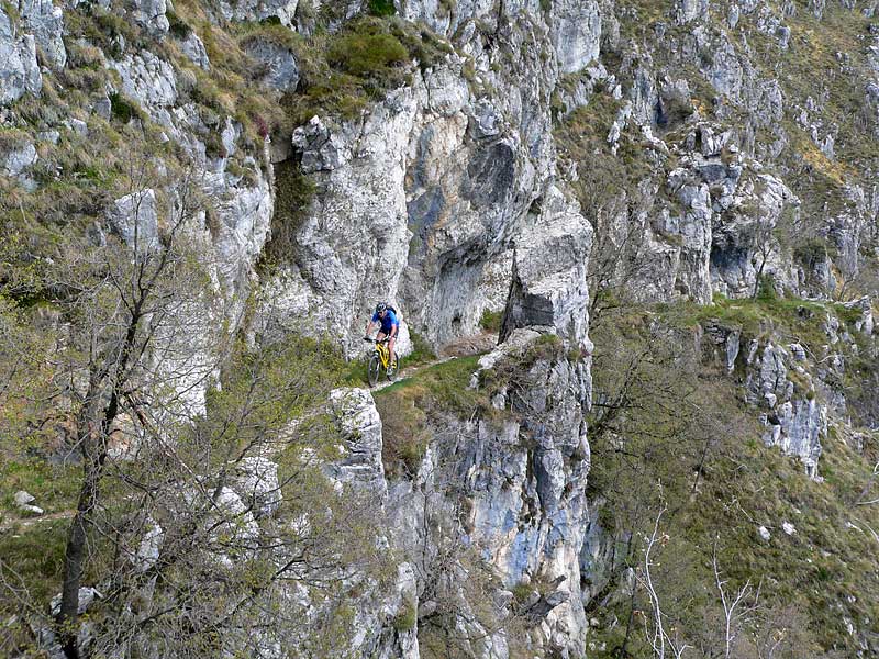 Fobiatrail