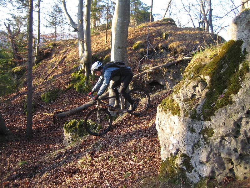 Steinwald