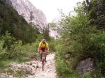 Trail Trail