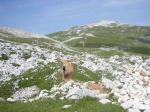 Trail auf dem Schlern Trail auf dem Schlern