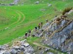 Wiesentrail Wiesentrail