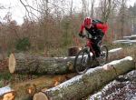 Treerider Treerider