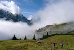 tirol10 08 03 tirol10 08 03