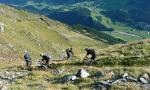 transtirol 09 03 42 transtirol 09 03 42