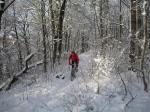 Snowtrail Snowtrail