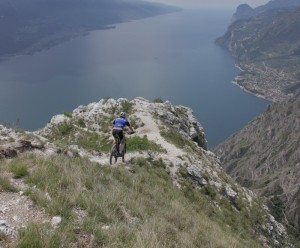 larici1