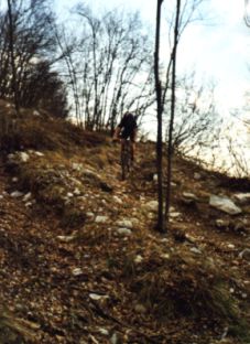 Endloser Singletrail am Monte Zugna