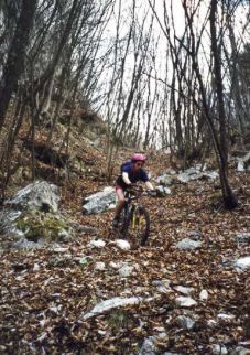 Im Fr�hjahr hat man ziemlich mit Laub zu k�mpfen...